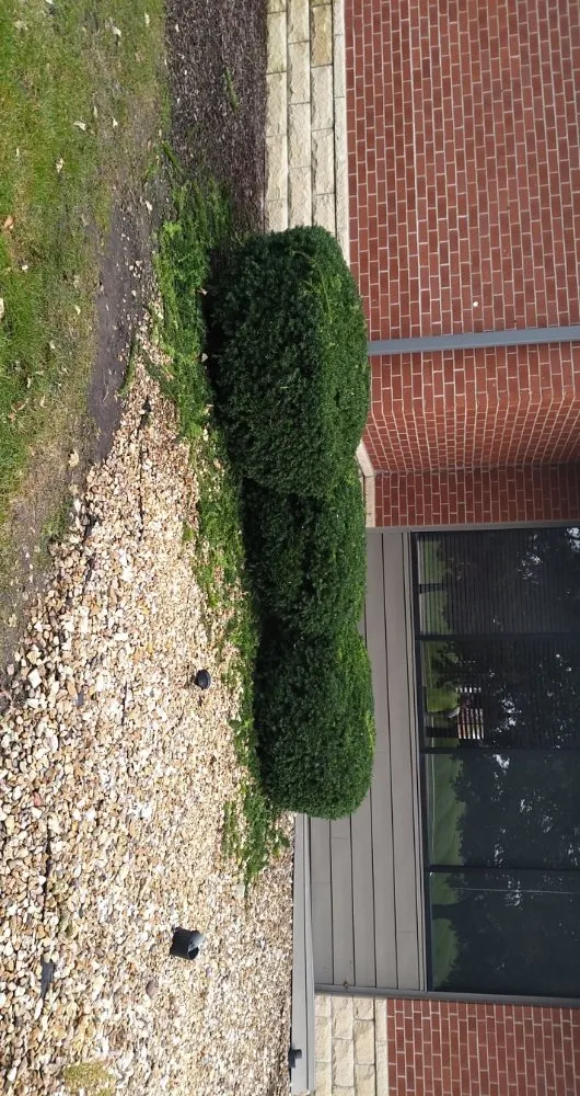 Expert lawn mowing service in Bloomington, IL - The Sod Father