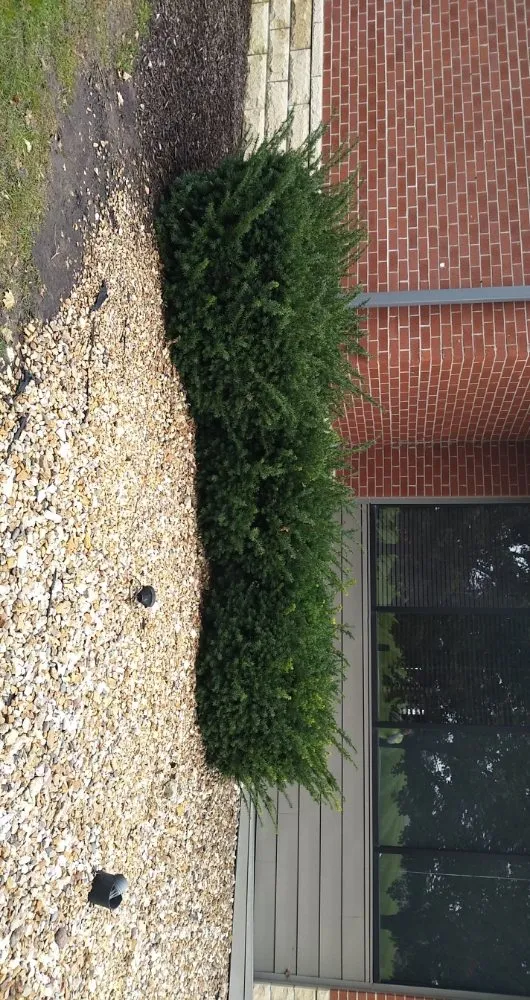 Custom lawn care service for year-round maintenance across Bloomington, IL - The Sod Father