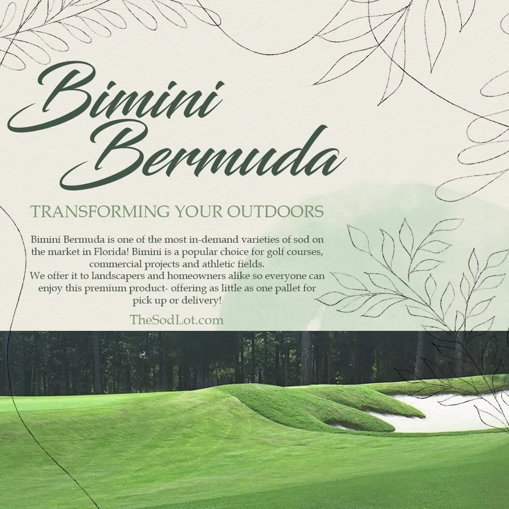 Custom landscaping services in Holly Hill, FL by The Sod Lot