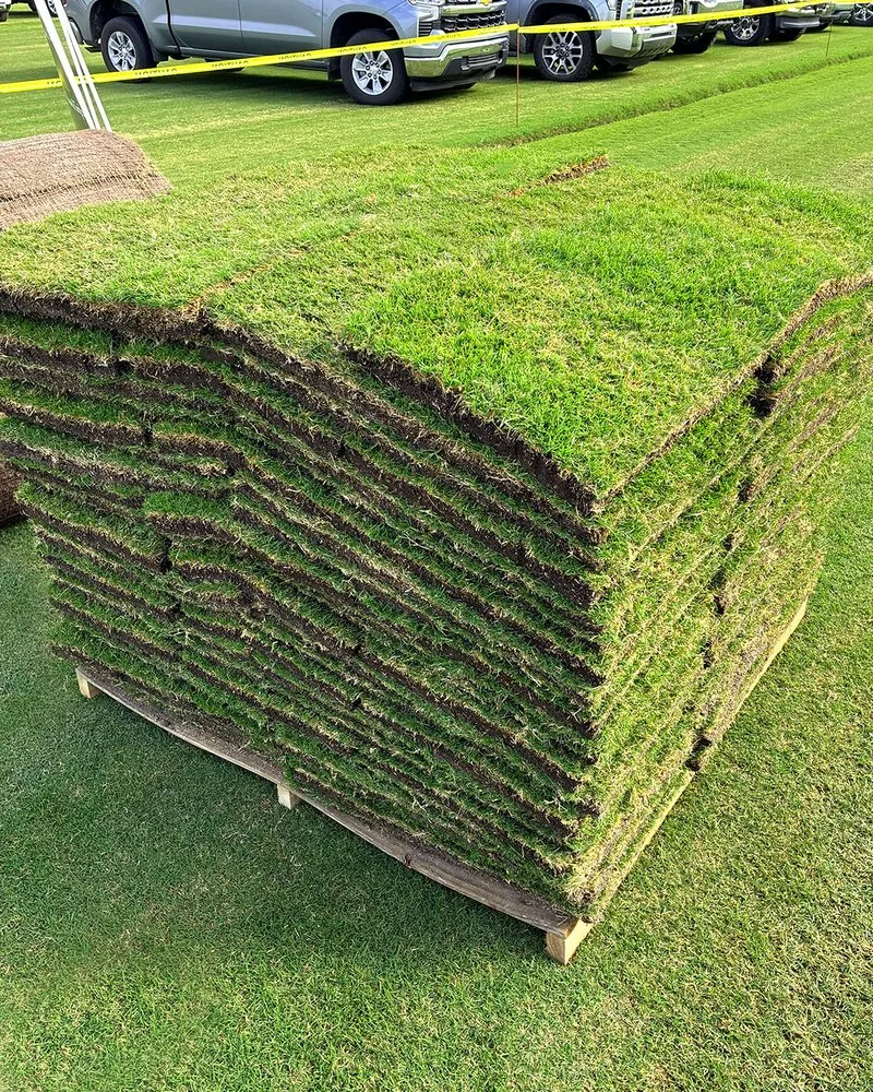 Affordable yard maintenance in Holly Hill, FL by The Sod Lot