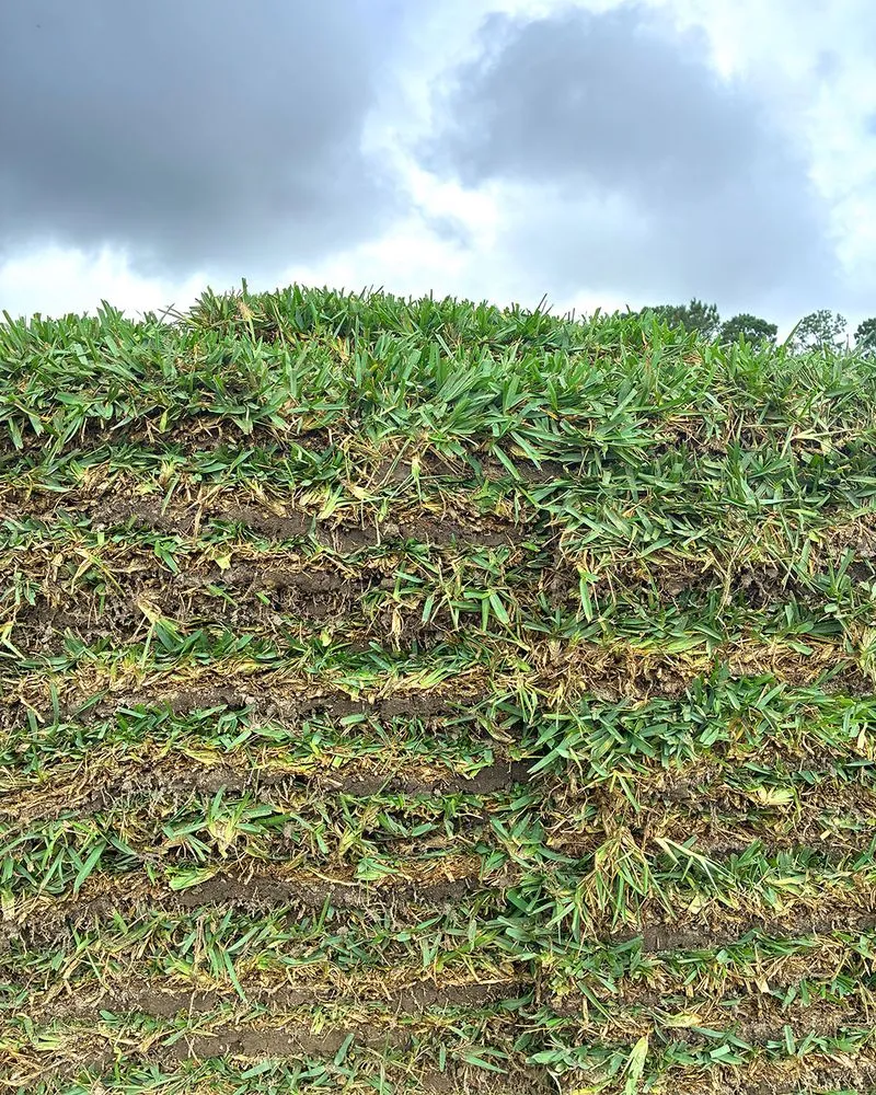 Custom yard cleanup service experts serving Holly Hill, FL - The Sod Lot