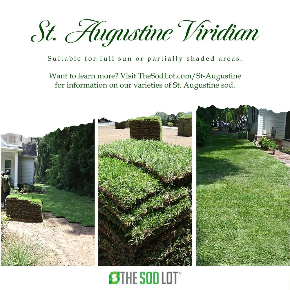 Top-rated yard maintenance in Holly Hill, FL by The Sod Lot