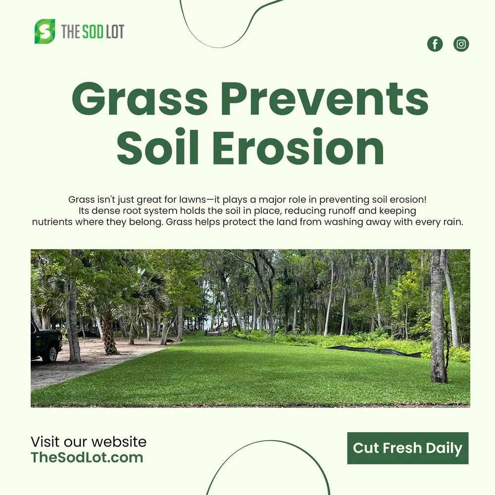 Reliable lawn care service in Holly Hill, FL - The Sod Lot