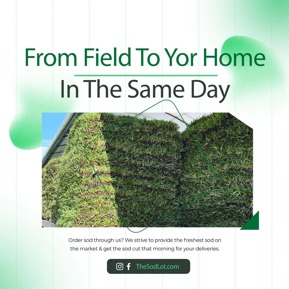 Reliable yard cleanup service in Jacksonville, FL by The Sod Lot