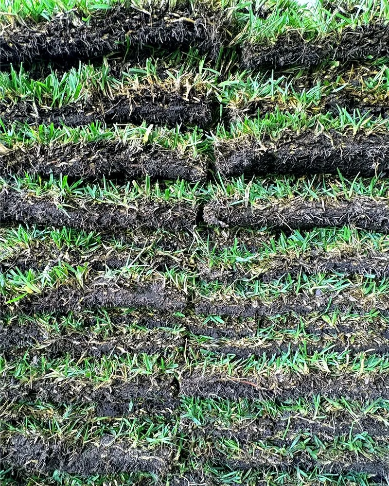 Affordable lawn mowing service in Jacksonville, FL - The Sod Lot