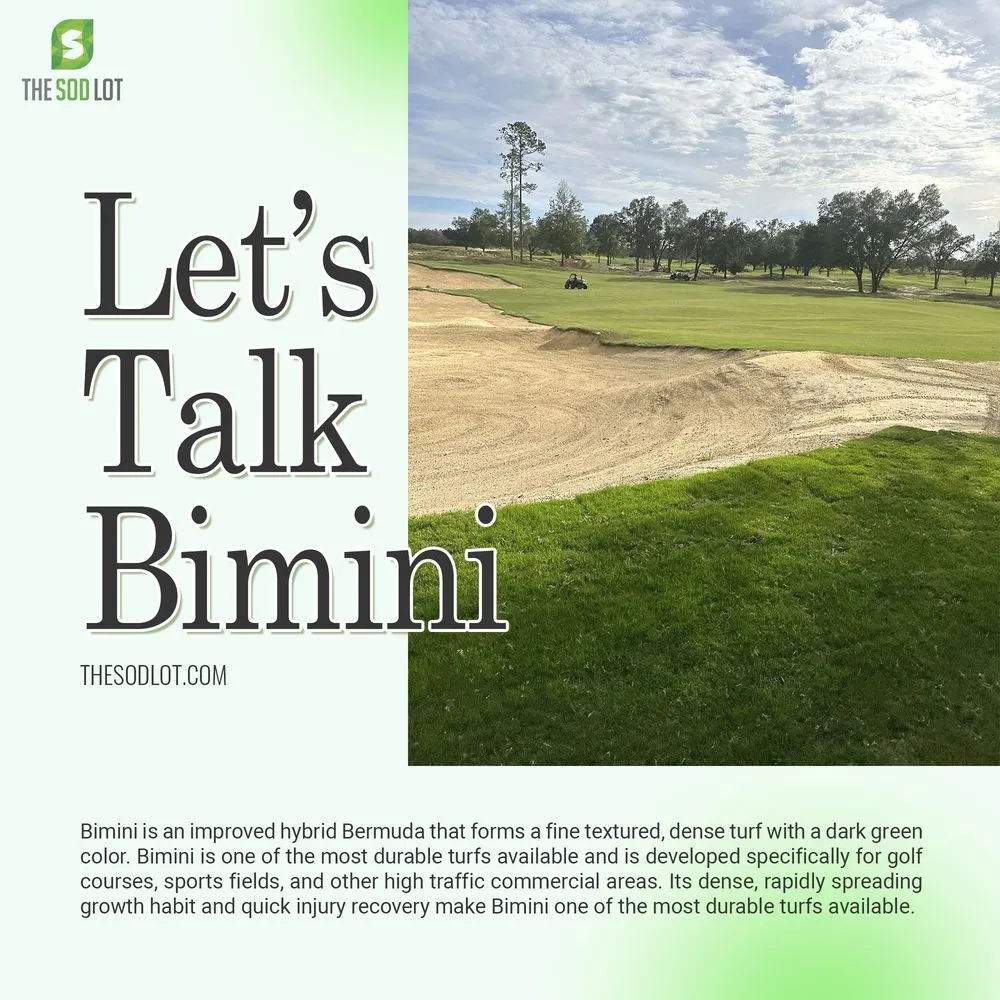 Local residential landscaping for outdoor upgrades across Jacksonville, FL - The Sod Lot