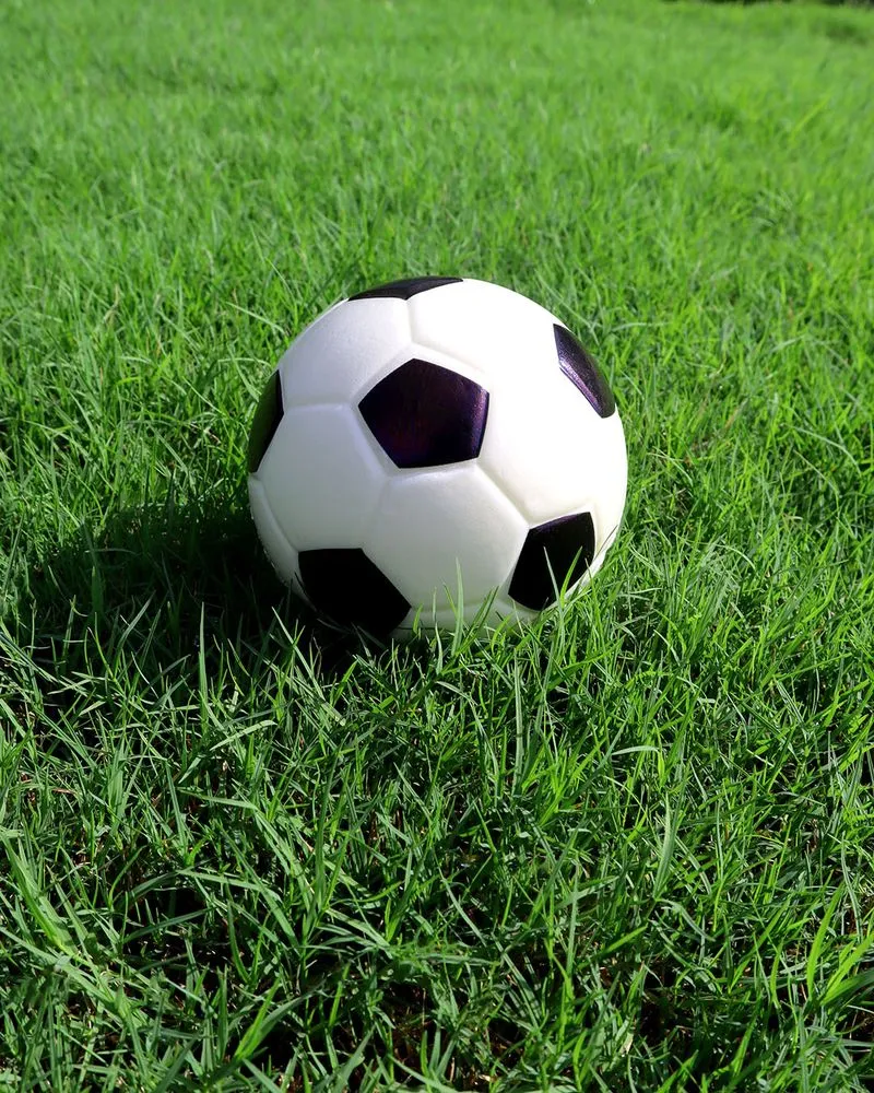 Expert landscape installation for beautiful yards in Jacksonville, FL by The Sod Lot