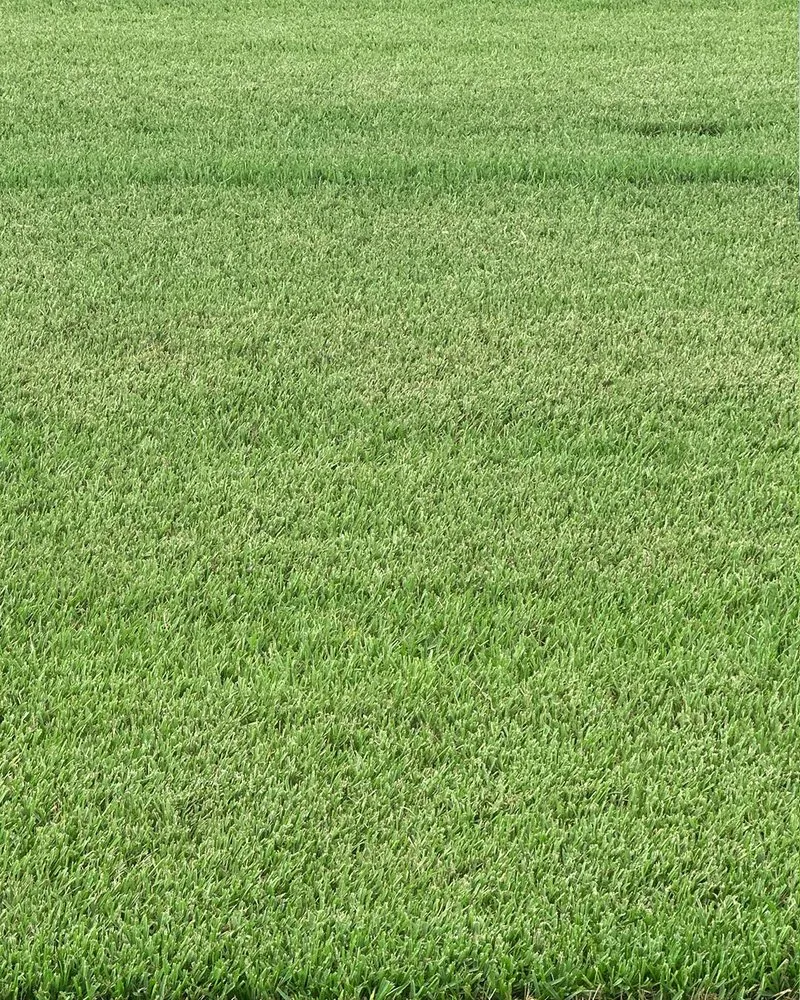 Trusted landscape installation in Jacksonville, FL by The Sod Lot