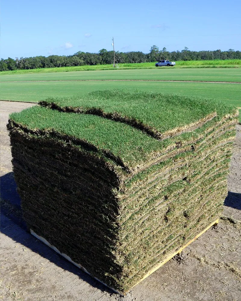 Top-rated lawn mowing service for year-round maintenance across Jacksonville, FL - The Sod Lot