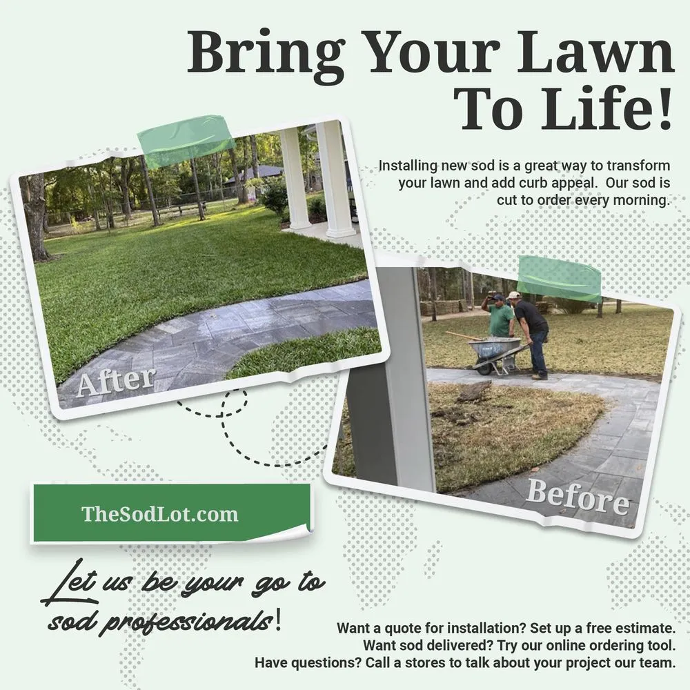 Affordable landscape design in Summerfield, FL - The Sod Lot