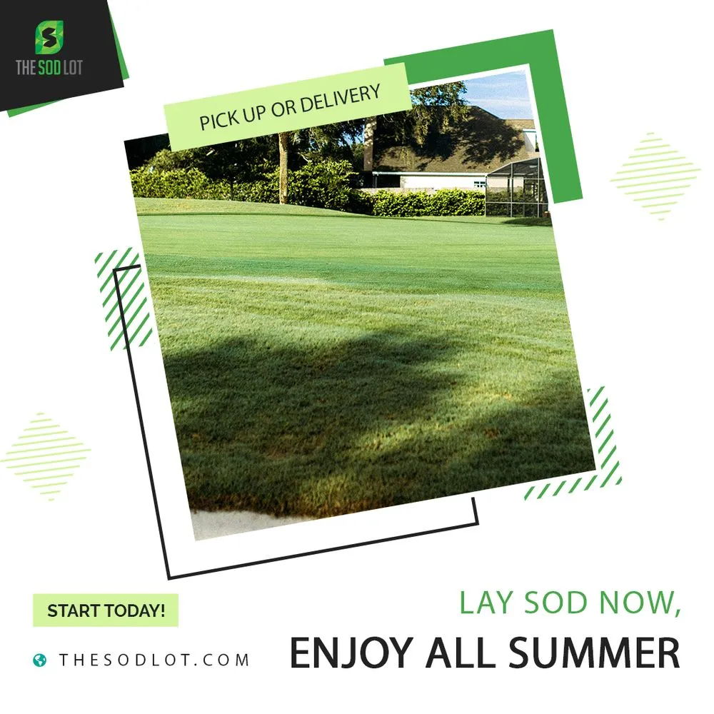 Expert outdoor landscaping experts serving Summerfield, FL - The Sod Lot