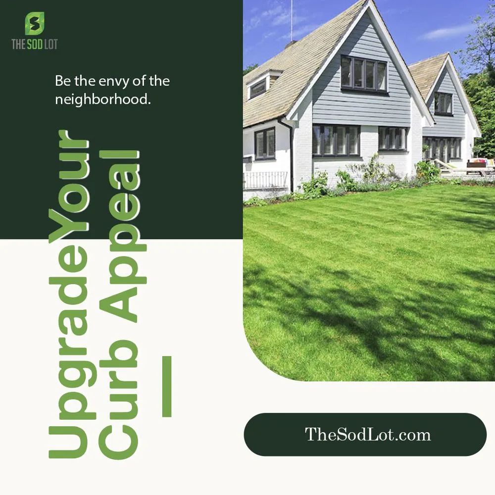 Professional yard cleanup service experts serving Summerfield, FL - The Sod Lot