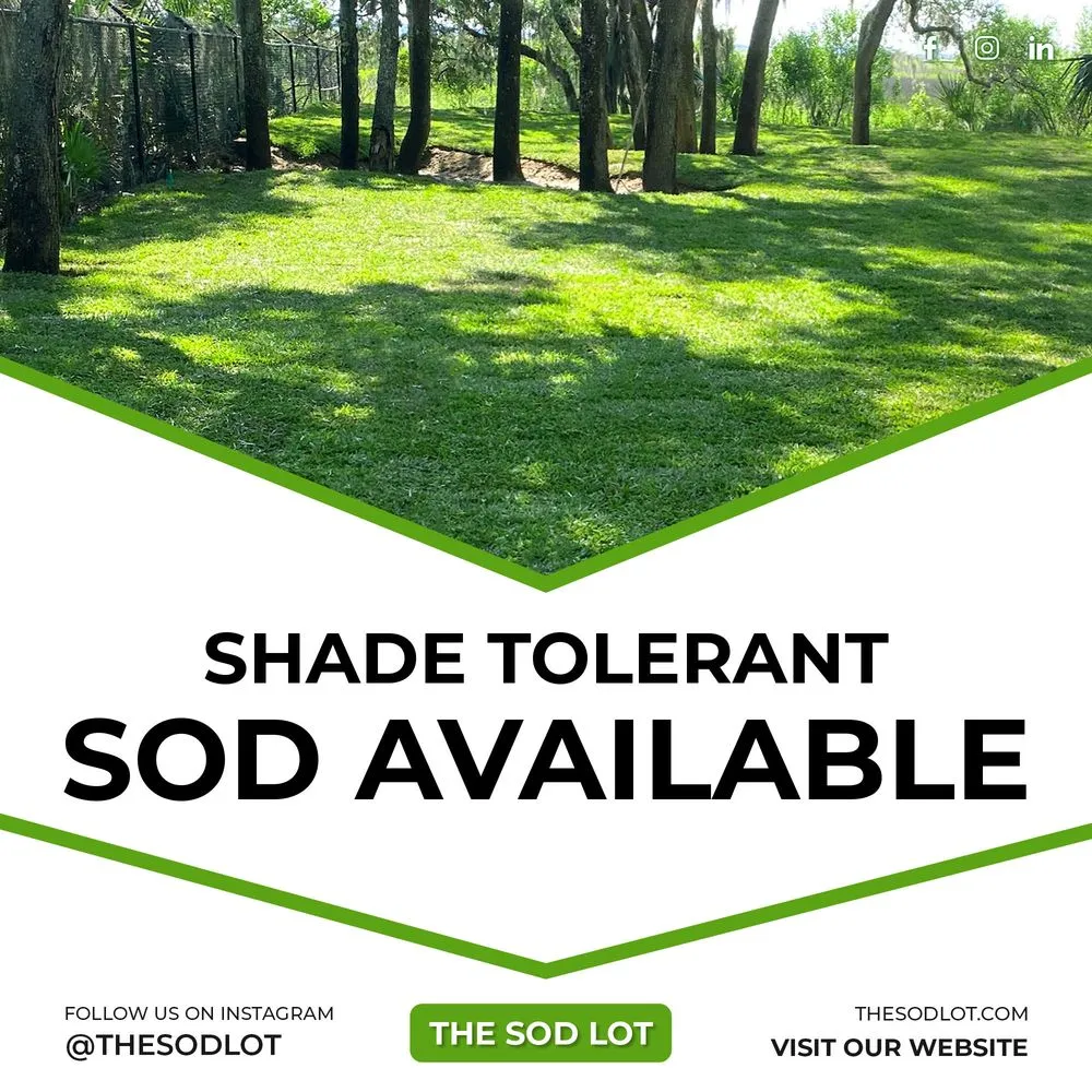 Trusted lawn mowing service for outdoor upgrades across Summerfield, FL - The Sod Lot