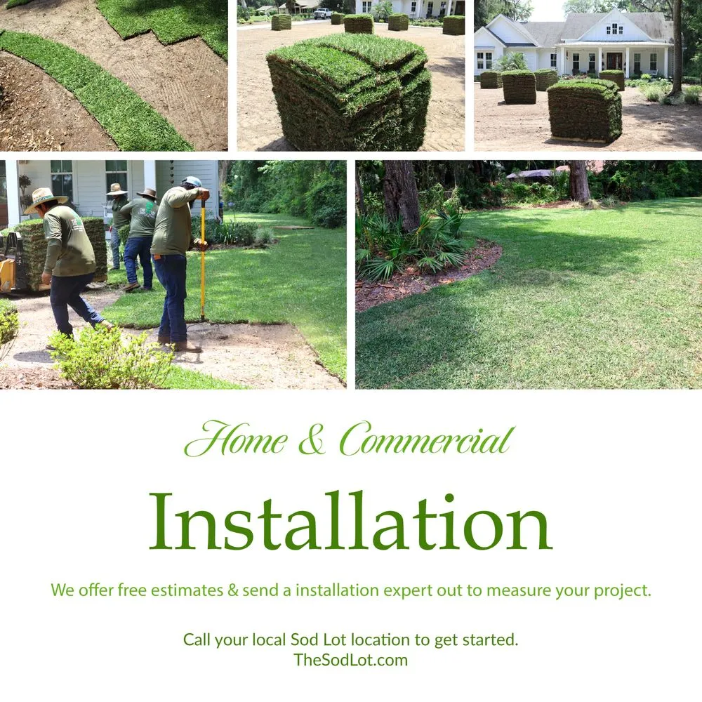 Affordable yard cleanup service for beautiful yards in Yulee, FL by The Sod Lot