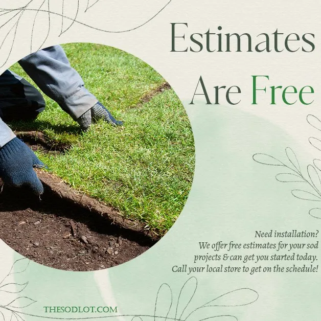 Reliable outdoor landscaping in Yulee, FL by The Sod Lot