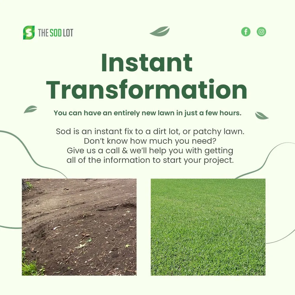 Local yard cleanup service for beautiful yards across Yulee, FL - The Sod Lot