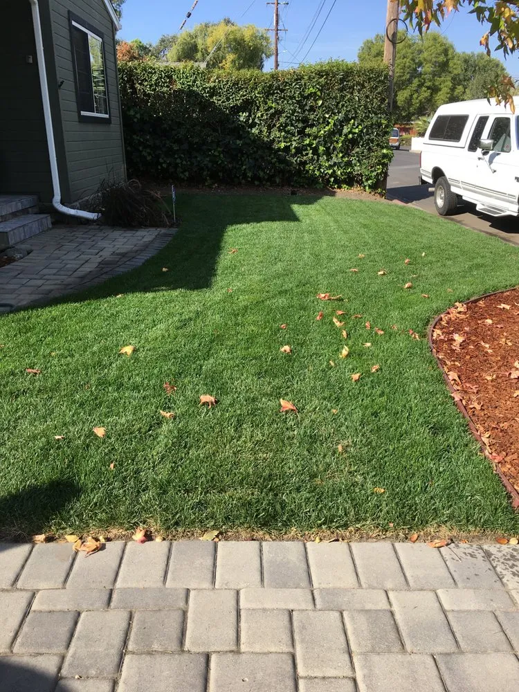 Trusted outdoor landscaping in Martinez, CA by The Sod Shop