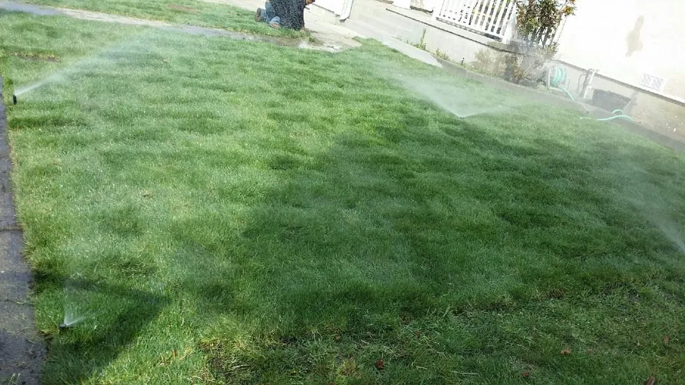 Reliable outdoor landscaping with custom design across Martinez, CA - The Sod Shop