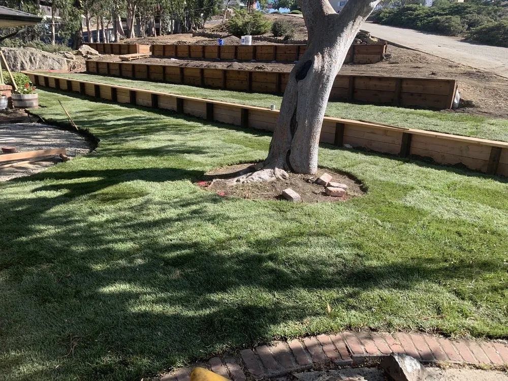 Affordable landscape installation experts serving Martinez, CA - The Sod Shop