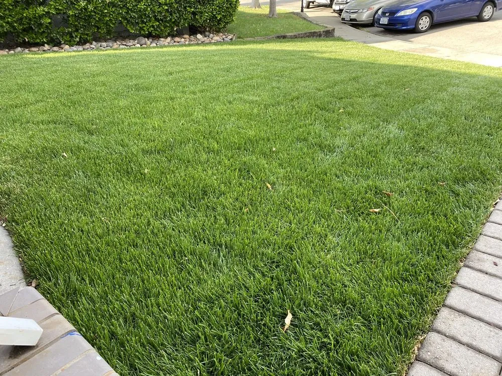 Top-rated garden landscaping in Martinez, CA by The Sod Shop