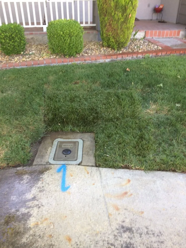 Top-rated yard cleanup service in Martinez, CA by The Sod Shop