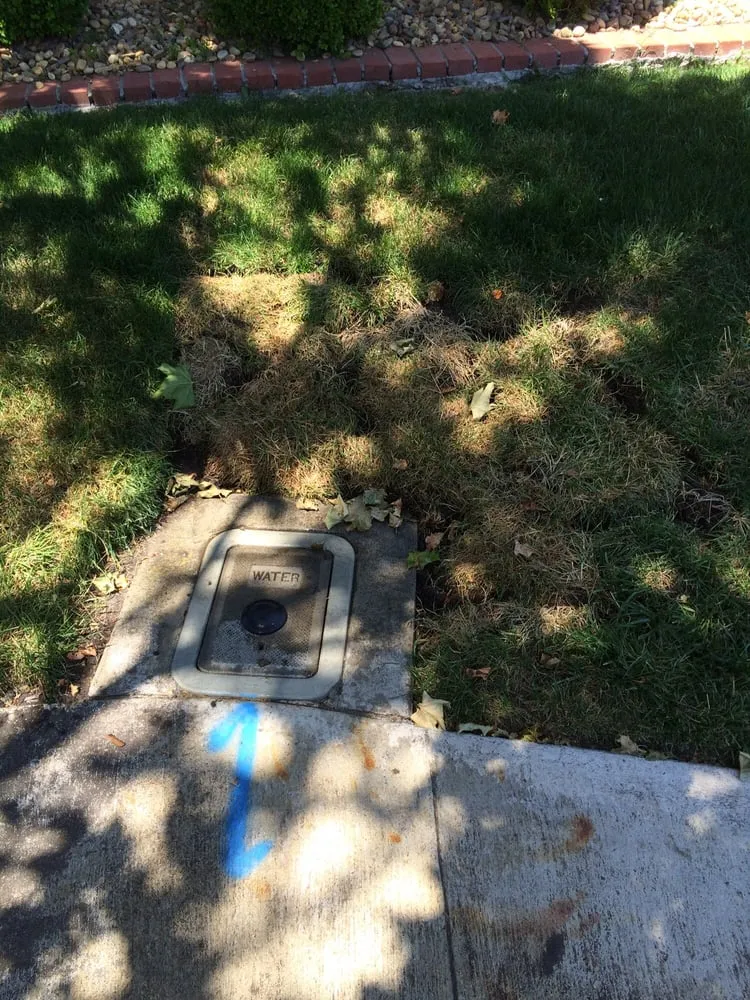 Local yard cleanup service in Martinez, CA by The Sod Shop