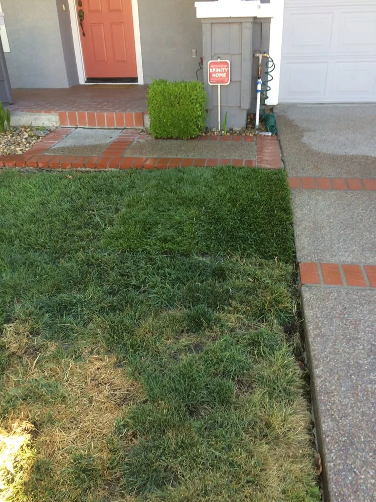 Local yard maintenance in Martinez, CA by The Sod Shop