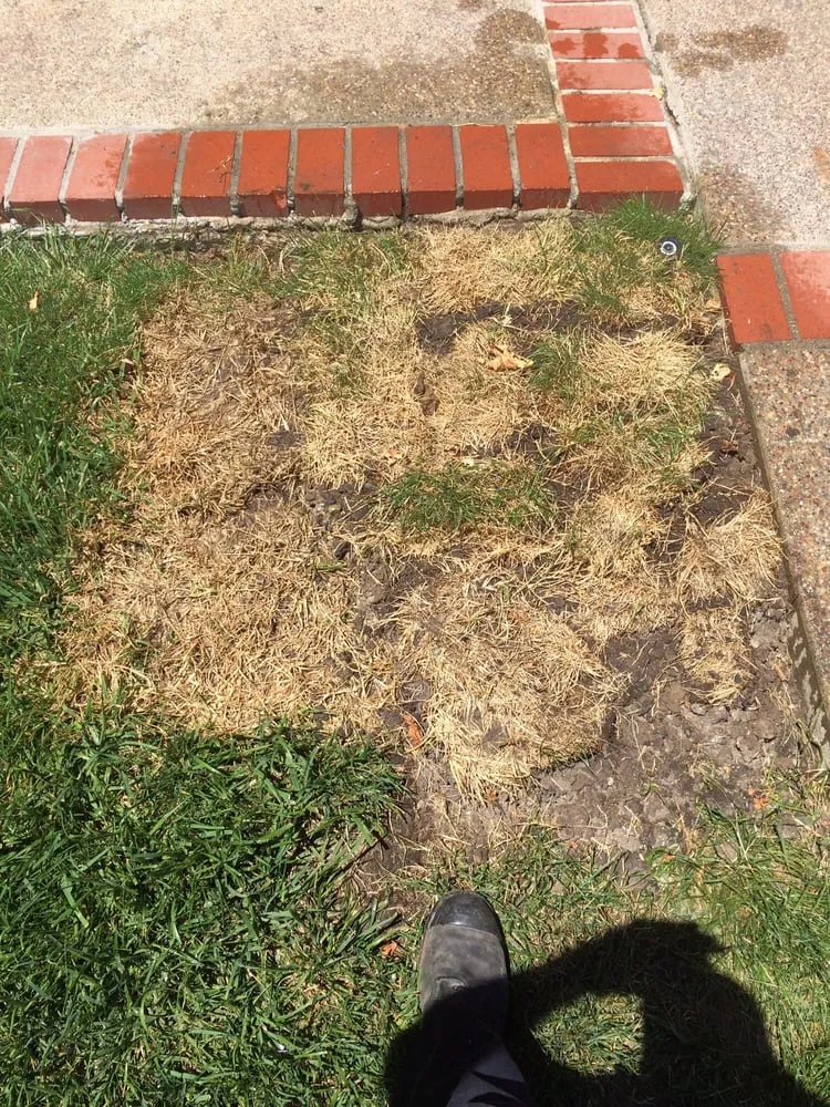 Reliable garden landscaping in Martinez, CA - The Sod Shop