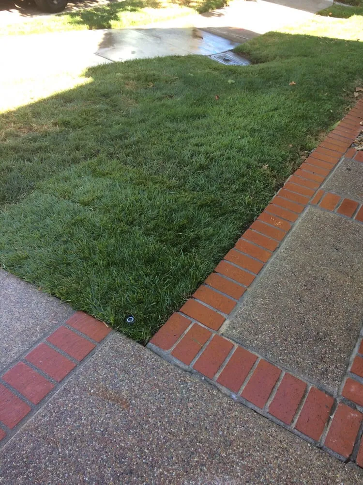 Top-rated landscape installation for beautiful yards in Martinez, CA by The Sod Shop