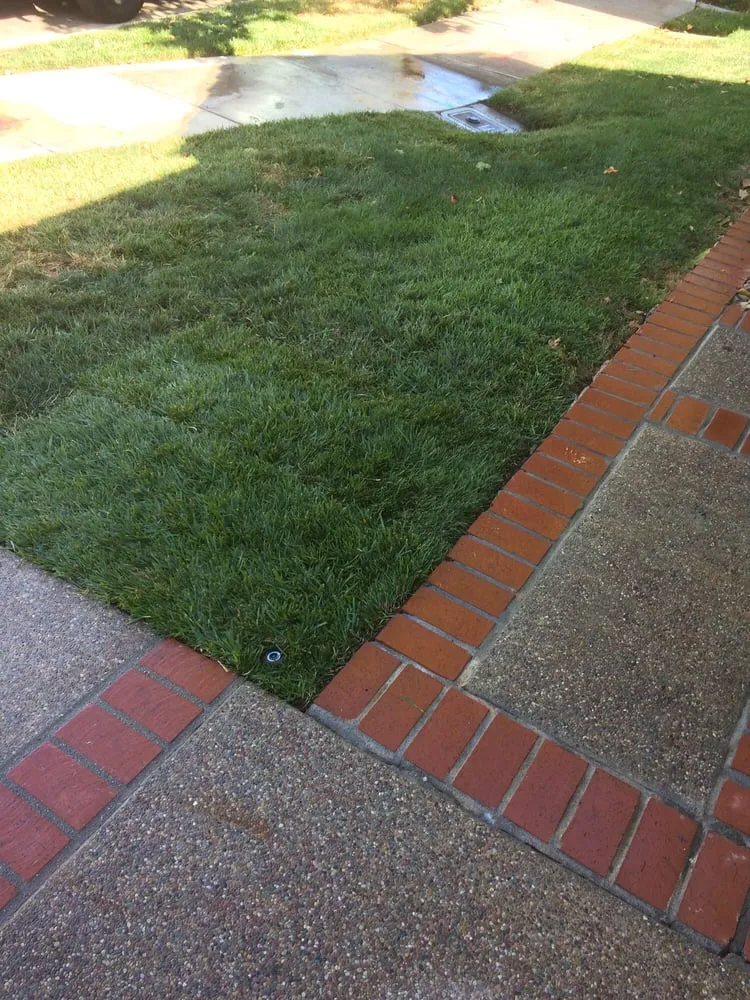 Top-rated yard maintenance for homes across Martinez, CA - The Sod Shop