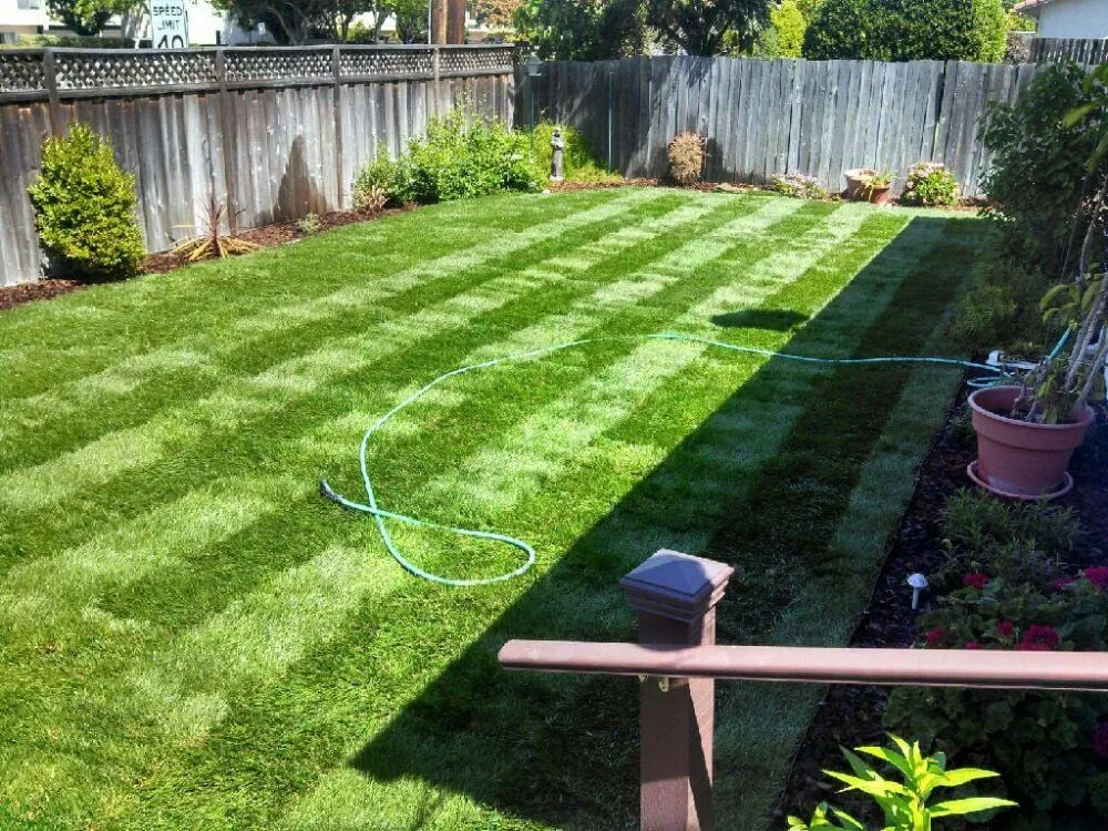 Professional outdoor landscaping in Martinez, CA - The Sod Shop