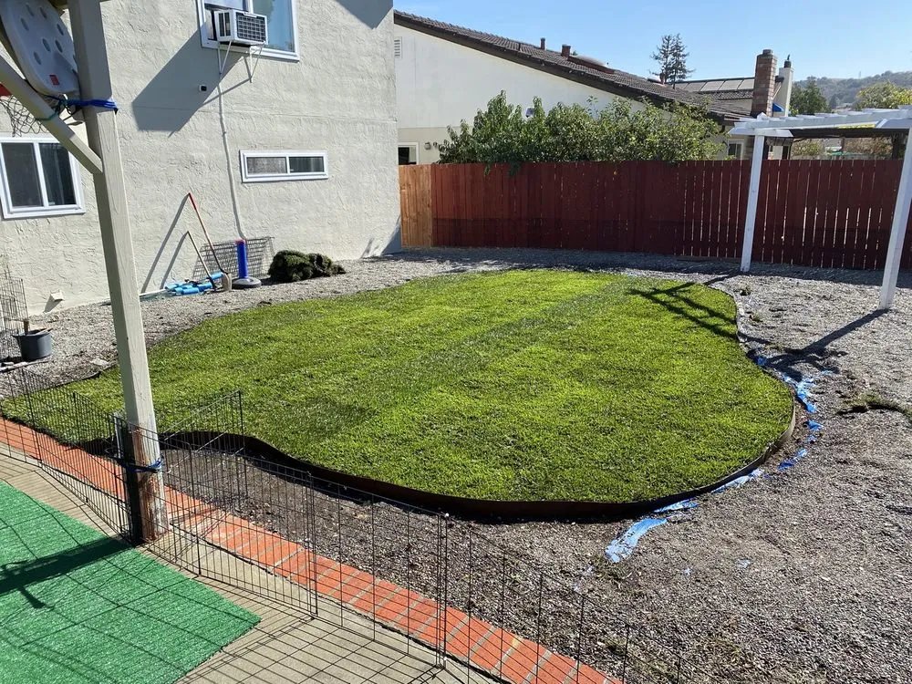Affordable garden landscaping in Martinez, CA by The Sod Shop