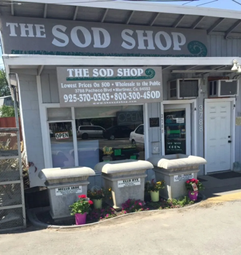 Trusted yard cleanup service for year-round maintenance in Martinez, CA by The Sod Shop