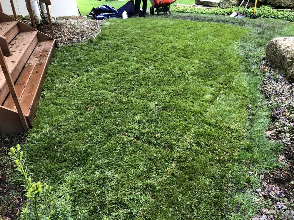 Professional yard cleanup service experts serving Madison, WI - The Sod Squad - Madison Sod Installers