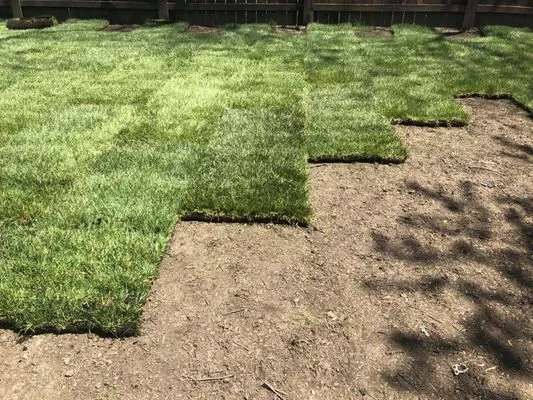 The Sod Squad - Madison Sod Installers Logo