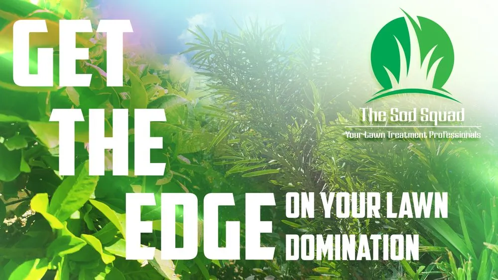 Affordable yard maintenance experts serving Fruit Cove, FL - The Sod Squad