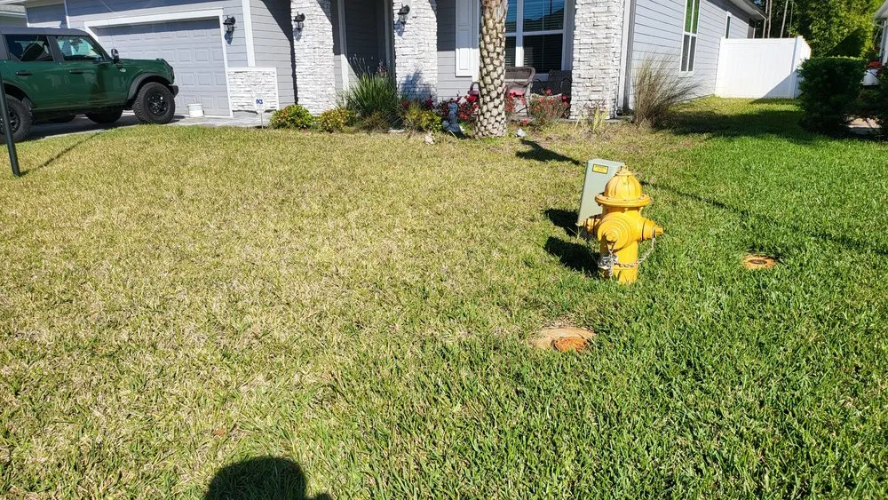 Professional landscape design experts serving Fruit Cove, FL - The Sod Squad
