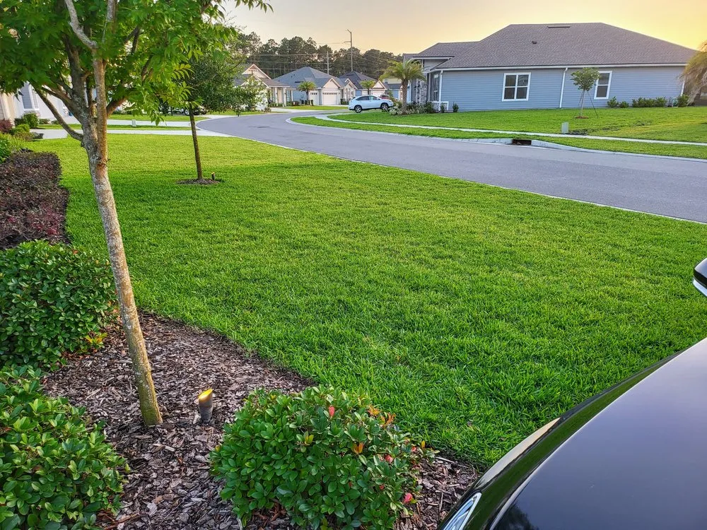 Affordable yard cleanup service for year-round maintenance in Fruit Cove, FL by The Sod Squad