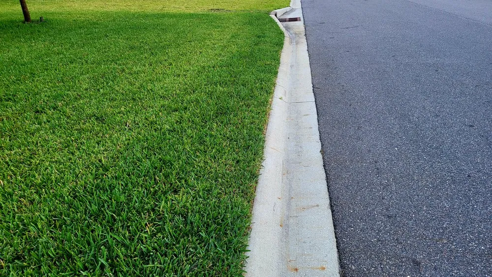 Expert landscaping services near you across Fruit Cove, FL - The Sod Squad