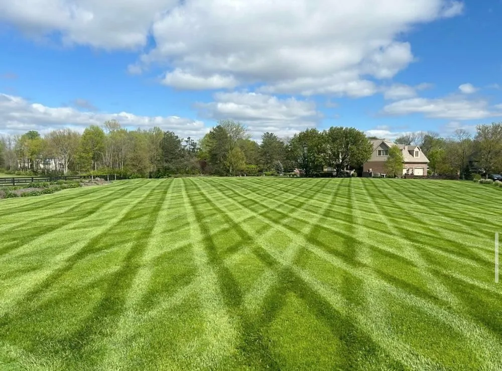 Top-rated residential landscaping for homes across Mercer, MO - The Sod Squad
