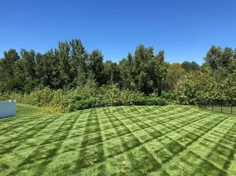 Trusted landscape design in Mercer, MO - The Sod Squad