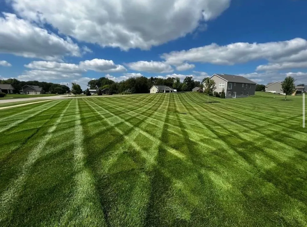 Affordable yard cleanup service experts serving Mercer, MO - The Sod Squad