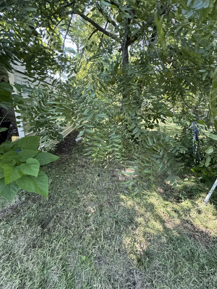 Top-rated lawn mowing service near you in Mercer, MO by The Sod Squad