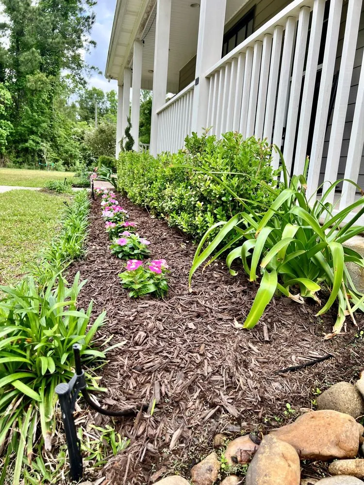 Professional yard cleanup service with custom design across Walker, LA - The Sod Squad