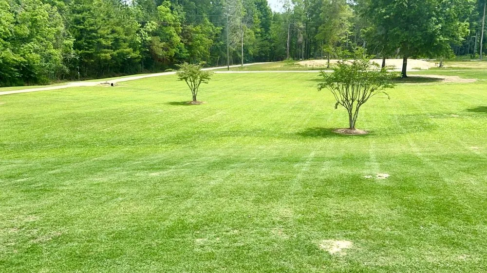 Trusted residential landscaping experts serving Walker, LA - The Sod Squad