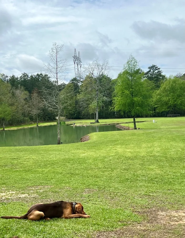 Affordable garden landscaping in Walker, LA - The Sod Squad