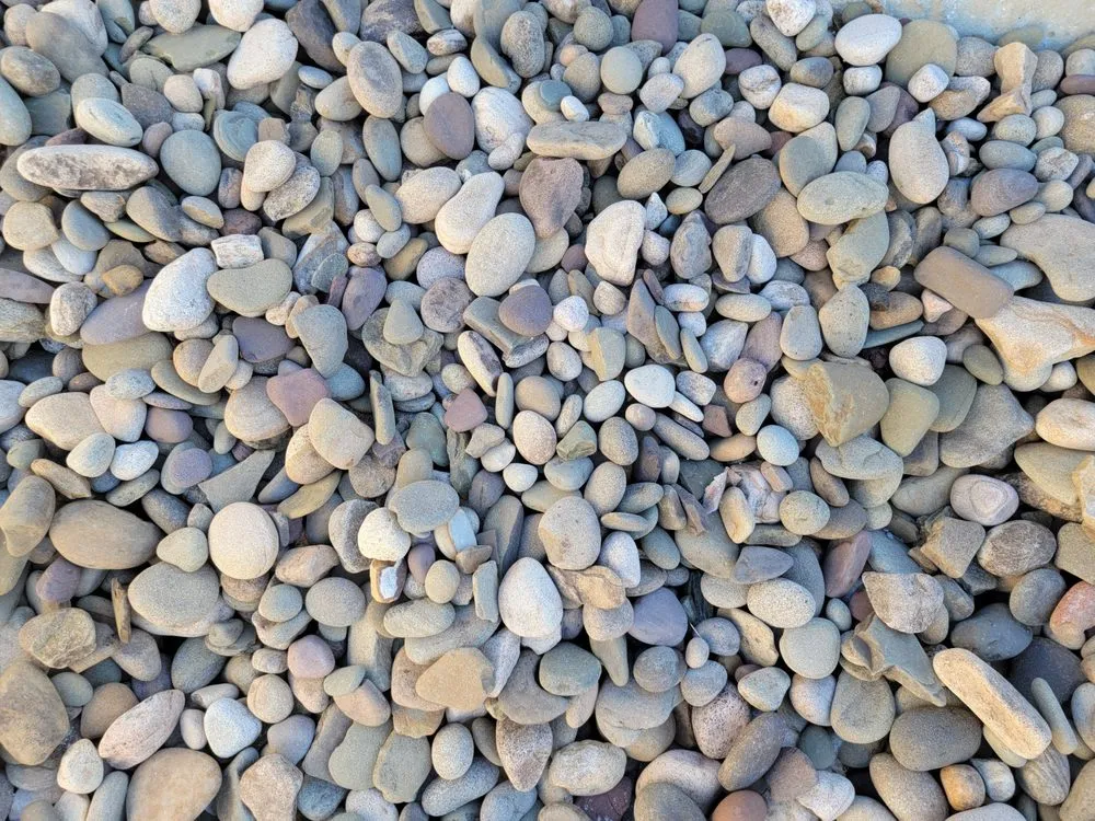 Local lawn care service for homes in Mims, FL by The Sodfather