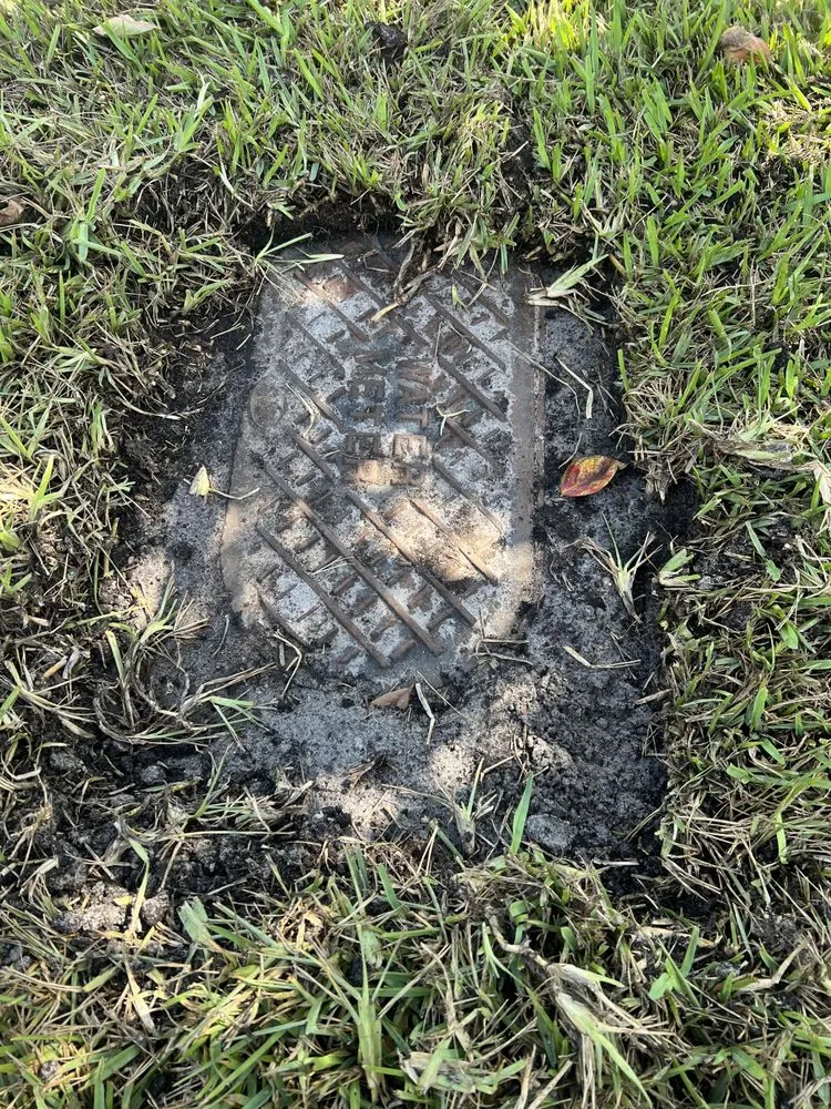 Trusted landscape installation for homes across Pinellas Park, FL - The Sodzilla