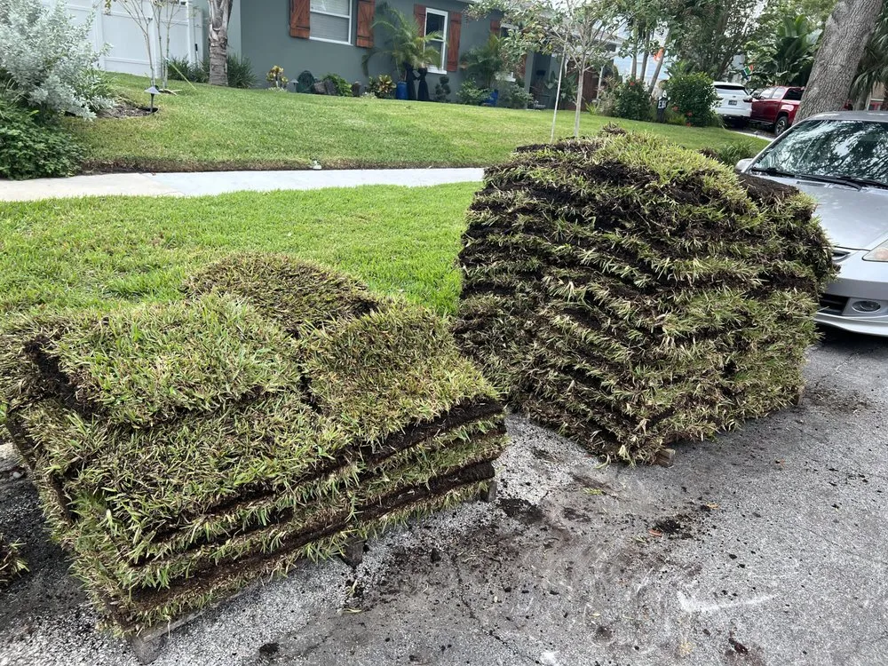Affordable lawn mowing service for year-round maintenance across Pinellas Park, FL - The Sodzilla