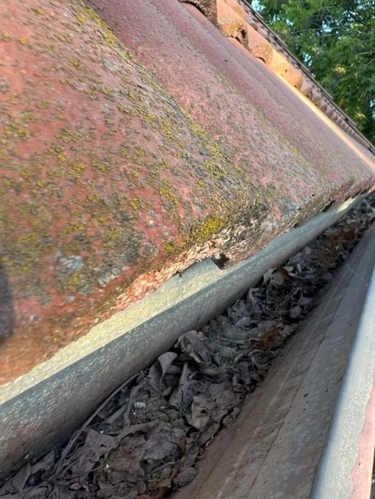 Trusted residential landscaping for year-round maintenance in LOS BANOS, CA by The Solar & Garden Company